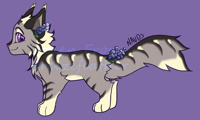 Design on Naudia's Base